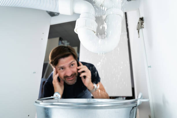 Best Water Leak Repair  in Salina, UT