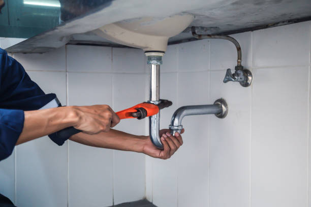 Best Same-Day Plumbing Service  in Salina, UT