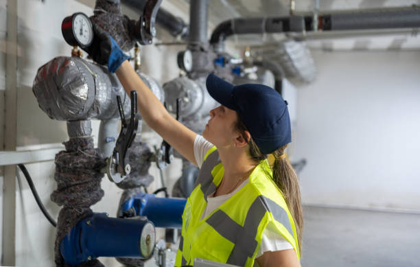 Best Plumbing Services Near Me  in Salina, UT
